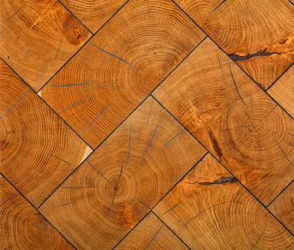 The rectangular planks of the transverse saw cuts of the trees are neatly lin Stock Photos