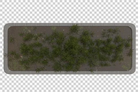 Rectangular planter filled with greenery Stock Photos