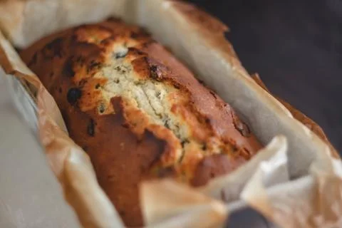 Rectangular ruddy metropolitan cake-bread in a metallic baking dish on a dark Foto stock