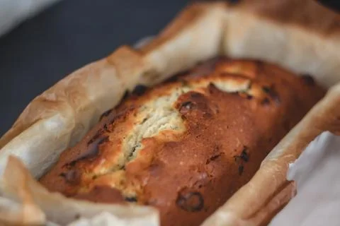 Rectangular ruddy metropolitan cake-bread in a metallic baking dish on a dark Stock Photos
