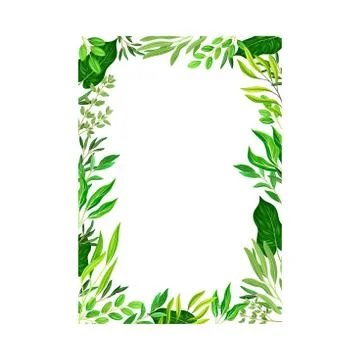 Rectangular Shaped Frame with Green Leaves or Foliage Vector Illustration Stock Illustration