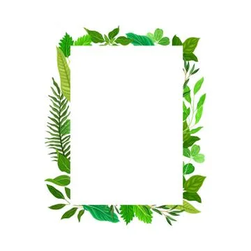 Rectangular Shaped Frame with Green Leaves or Foliage Vector Illustration Illustrazione stock