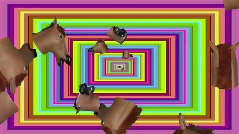 Rectangular Small Horse Heads Tunnel Small Heads Stock Footage 69266351