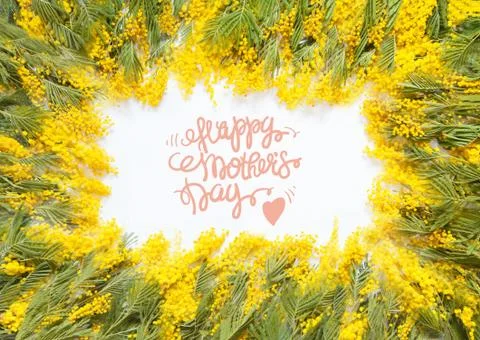 Rectangular square frame of yellow flowers of mimosa. White background. Stock Photos