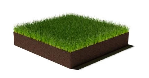 Rectangular square patch or island of short cut green grass on brown soil gro Stock Illustration