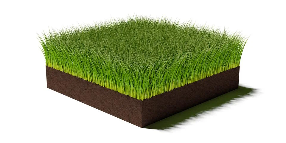 Rectangular square patch or island of long uncut green grass on brown soil gr Stock Illustration