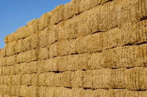 Rectangular stacks of dry hay in an open-air field. Stock Photos