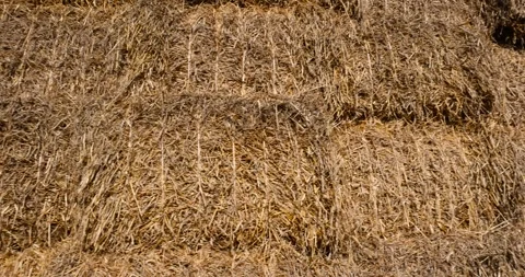 Rectangular stacks of straw stacked together for long-term storage, stacked one Stock Footage 311674856