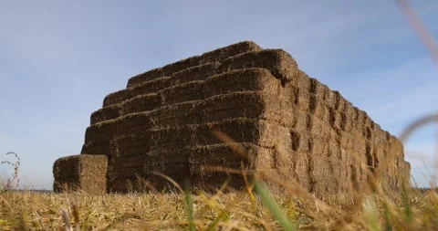 Rectangular stacks of straw stacked together for long-term storage, stacked one 스톡 동영상 313165029