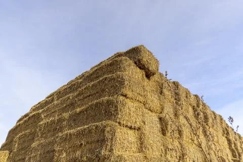 Rectangular stacks of straw for storage , blue sky and stacked one on one s.. Stock Photos