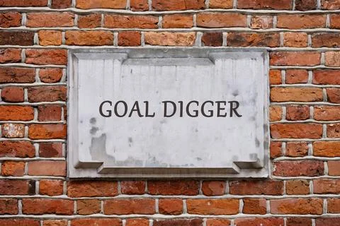 A rectangular stone plaque with the phrase GOAL DIGGER is mounted on a rustic 스톡 사진
