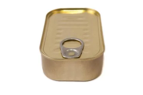 Rectangular tin can Foto stock