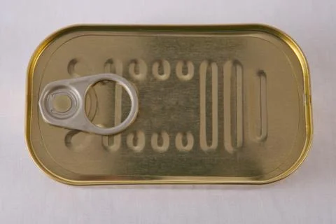 Rectangular tin can 스톡 사진