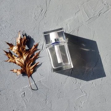 Rectangular transparent glass perfume bottle, golden leaf on gray Stock Photos