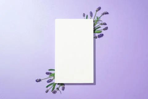 A rectangular white podium is placed in the middle of a purple background w.. 스톡 사진