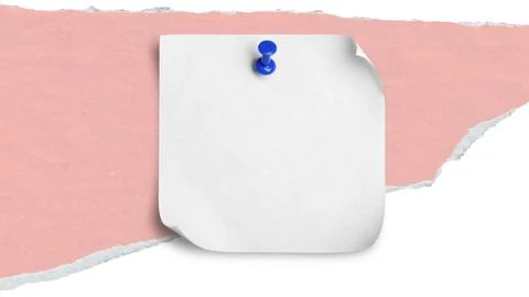 Rectangular white space is surrounded by a tropical floral border. The design fe Stock Photos