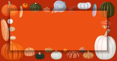 Rectangular. Winter squash. Cucurbita maxima Stock Illustration