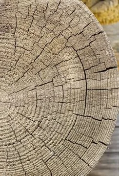 Rectangular wooden block. Stock Photos