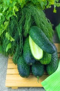 On a rectangular wooden stand there are small cucumbers with herbs 스톡 사진