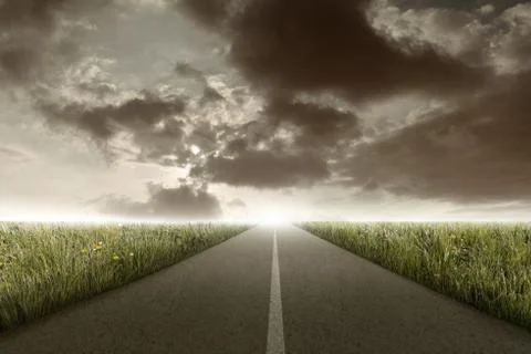 Rectilinear road between the meadow Stock Illustration