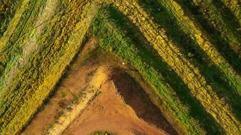 Recultivated  landscape after mining Vidéo 120185956