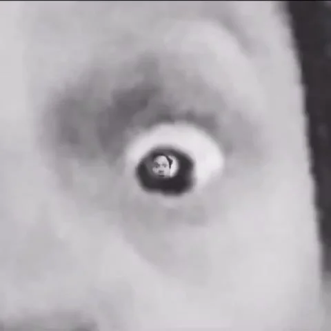 Recursive Eyeball is Surprised Video stock 245538271