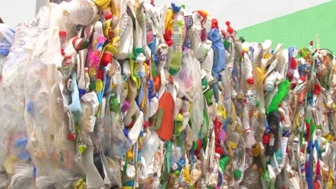 Recyclable Materials Moving Through Waste Sorting Line Stock-Footage 343732762