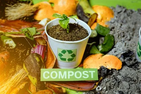 Recycle and composting. Stock Photos