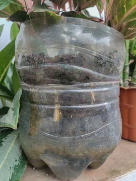 Recycle Stock Photos