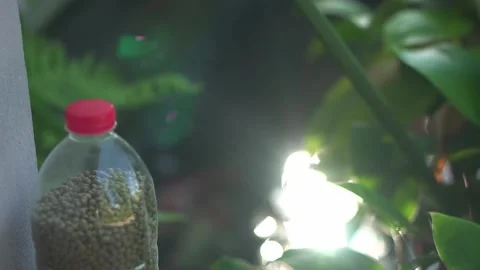 Recycle plastic bottles to feed fish. Waste recycle management, eco friendl.. Stock Footage 247493705