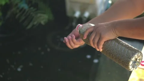 Recycle plastic bottles to feed fish. Waste recycle management, eco friendl.. Stock Footage 247493770