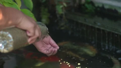 Recycle plastic bottles to feed fish. Waste recycle management, eco friendl.. Stock Footage 247493807