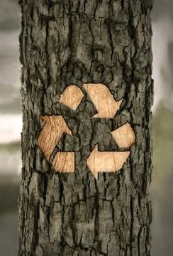 Recycle sign on the bark Stock-Illustration