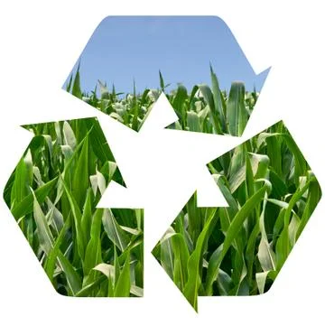 Recycle symbol of a field of corn Stock Illustration