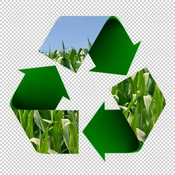 Recycle Symbol of a Field of Corn Stock Illustration