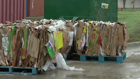 Recycled Cardboard 스톡 동영상 99600331