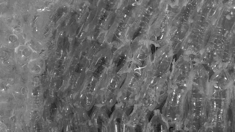 Recycled clear plastic bottles Stock Footage 290880713