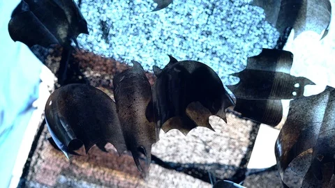 Recycled plastic bat figures during Halloween celebration in the street. Stockbeeldmateriaal 114314949