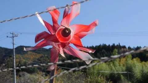 Recycled plastic bottle windmill in Nagiso-Machi Japan Video stock 134462070