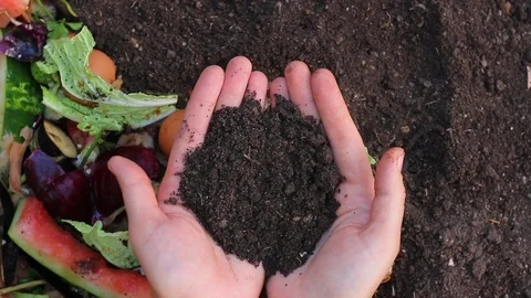 Recycles Kitchen and Yard Waste. Soil in the hands of the gardener Stock Footage 92839885