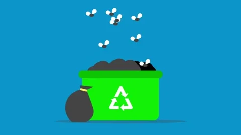 Recycling Bin With Swarming Flies Flat Animation Stock Footage 336724071
