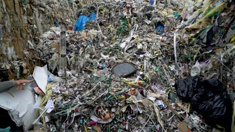 Recycling Center Environment Ecologic Waste Garbage Forklift Carton Stock Footage 147384674