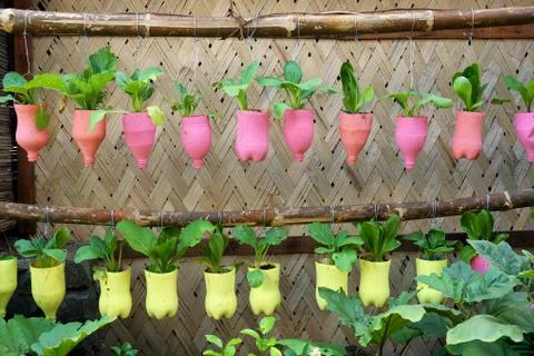 A Recycling Idea Using Plastic Bottles Stock Photos