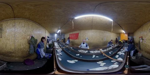 Recycling plant Video stock 101435820