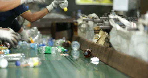 Recycling plastics PET - Sorting bottles and PET waste Vidéo 195300624