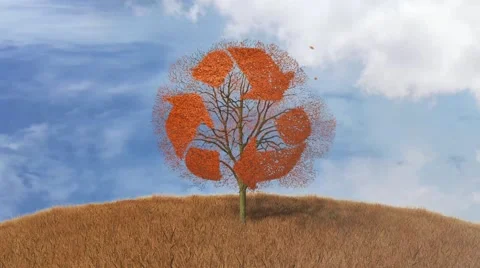 Recycling sign on a tree, falling leaves Stock Footage 43736709