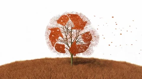 Recycling sign on a tree, falling leaves Stock Footage 43736743