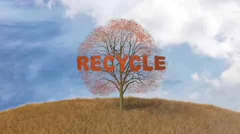 Recycling text on a tree, falling leaves Stock Footage 43736702
