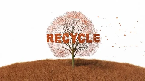 Recycling text on a tree, falling leaves Stock Footage 43736742