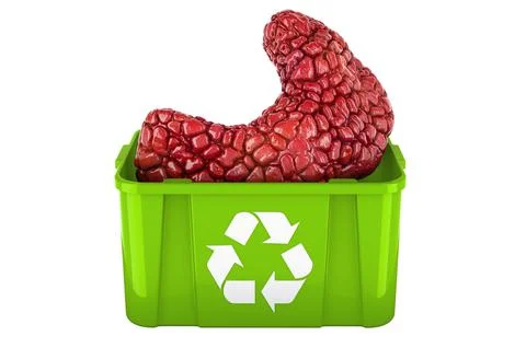 Recycling trashcan with human thyroid, 3D rendering Stock Illustration